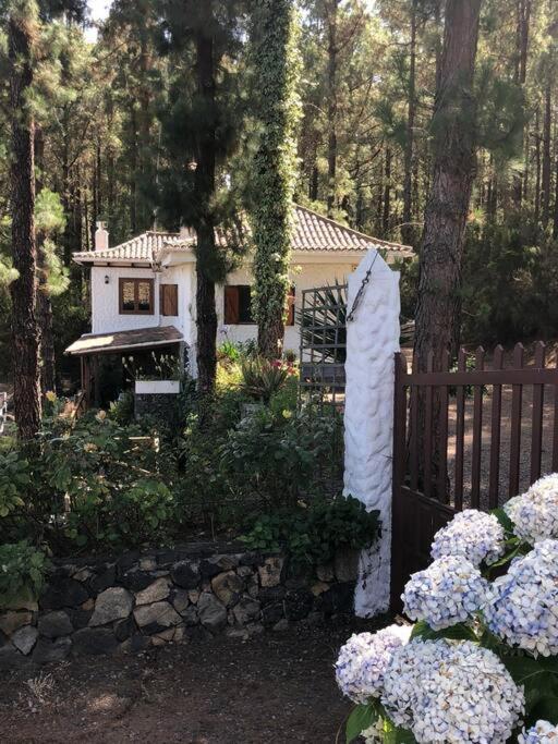 Floral Garden House Villa อิคอดเดลอสวินอส ภายนอก รูปภาพ