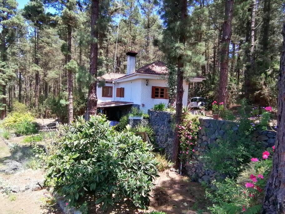 Floral Garden House Villa อิคอดเดลอสวินอส ภายนอก รูปภาพ